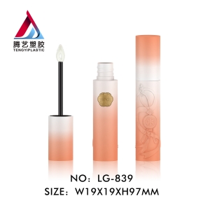 High Quality Luxury Lip Gloss Tube Newstyle Wholesale Lipgloss Makeup Case
